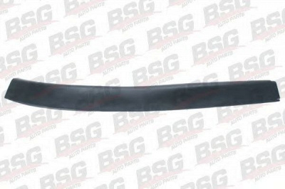 BSG bsg65922005 -