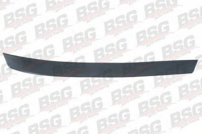 BSG bsg65922006 -