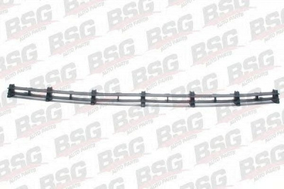 BSG bsg65927001 -  