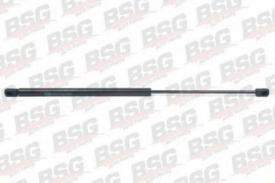 BSG bsg65980001 -