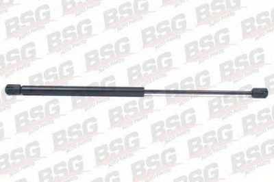 BSG bsg65980002 -