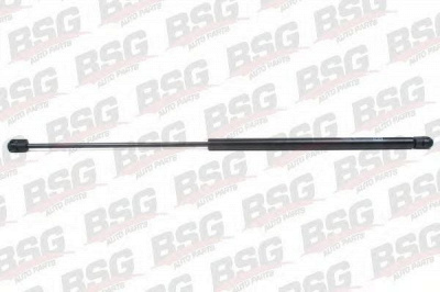 BSG bsg65980003 -