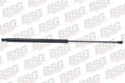 BSG bsg65980004 -
