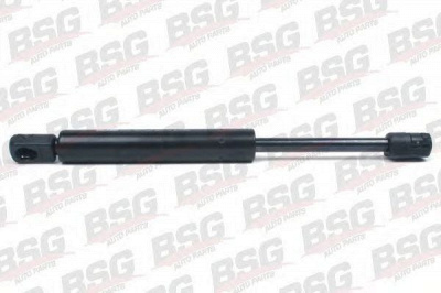 BSG bsg65980005 -  