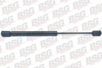 BSG bsg65980006 -  