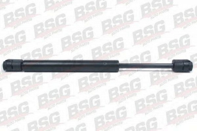 BSG bsg65980007 -