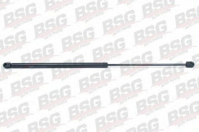 BSG bsg65980008 -