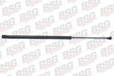 BSG bsg65980009 -  