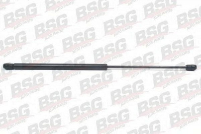 BSG bsg65980012 -