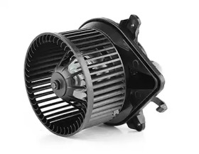 BSG bsg70845004 -