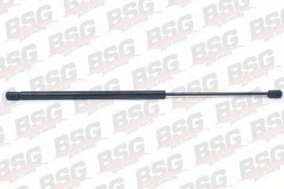 BSG bsg70980001 -