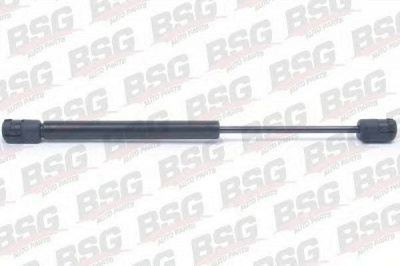 BSG bsg70980010 -