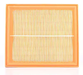 BSG bsg90135006 -