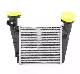 BSG bsg90535004 -
