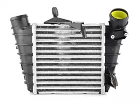 BSG bsg90535006 -