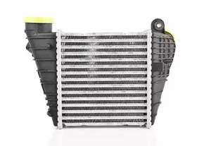 BSG bsg90535008 -