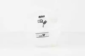 BSG bsg90550001 -