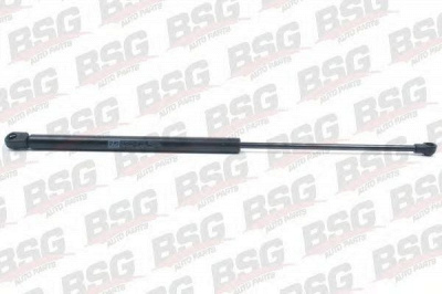 BSG bsg90980001 -