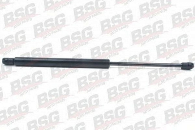 BSG bsg90980002 -