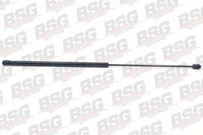 BSG bsg90980003 -