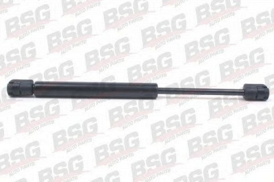 BSG bsg90980005 -