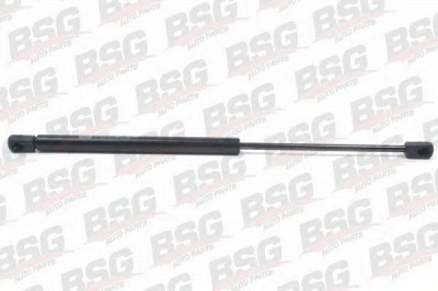 BSG bsg90980009 -  