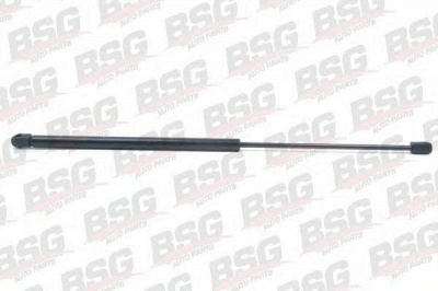 BSG bsg90980010 -