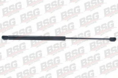 BSG bsg90980011 -