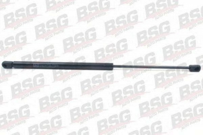 BSG bsg90980012 -  