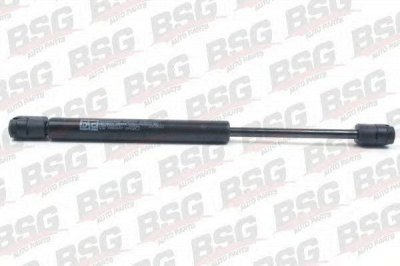 BSG bsg90980013 -  