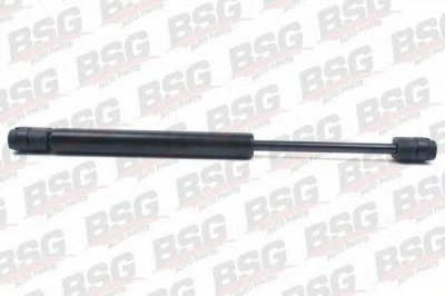 BSG bsg90980014 -