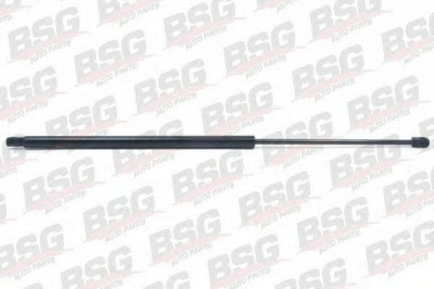 BSG bsg90980018 -  