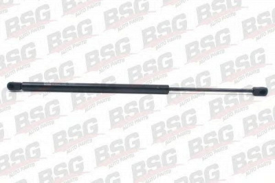 BSG bsg90980020 -