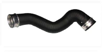 BUGIAD 82675 -  Трубка нагнетаемого воздуха