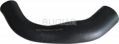 BUGIAD 88619 -  Трубка нагнетаемого воздуха