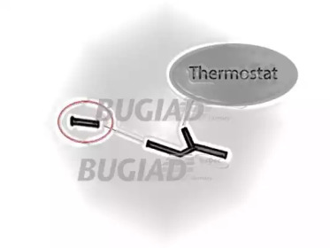 BUGIAD 88697 -  Трубка нагнетаемого воздуха