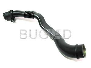 BUGIAD bsp24464 -  Шланг, воздухоотвод крышки головки цилиндра