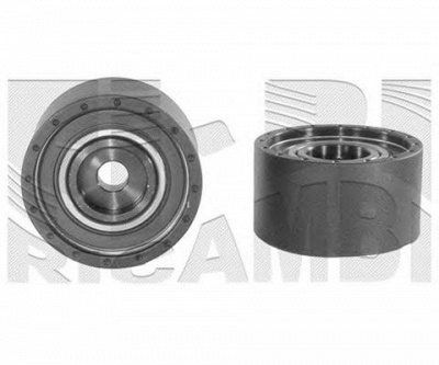 CALIBER 56069 -  Натяжной ролик, ремень ГРМ