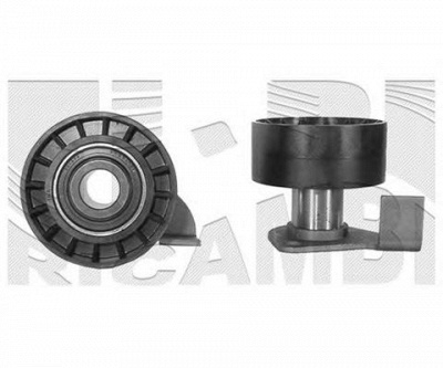 CALIBER 76862 -  Натяжной ролик, ремень ГРМ