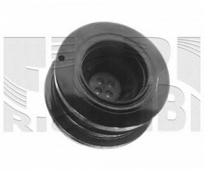 CALIBER 87354 -  Ременный шкив, коленчатый вал