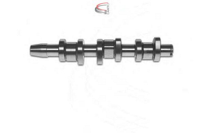 CAMPRO cp10216 - Распредвал