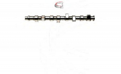 CAMPRO cp10256 - Распредвал
