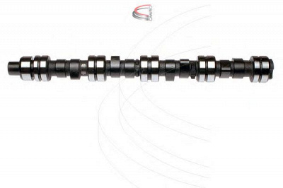 CAMPRO cp11117 - Распредвал