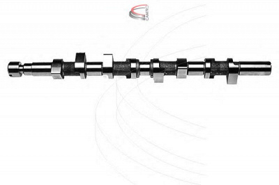 CAMPRO cp11424 - Распредвал
