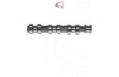 CAMPRO cp12232 -  Распредвал