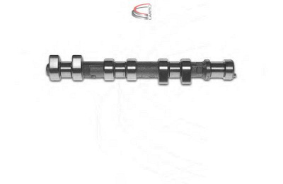 CAMPRO cp12266 - Распредвал