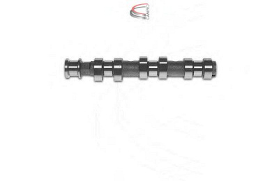CAMPRO cp12289 -  Распредвал