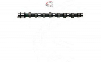 CAMPRO cp17010 - Распредвал