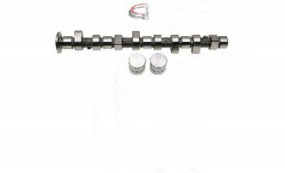 CAMPRO cp61917 - Комплект распредвала