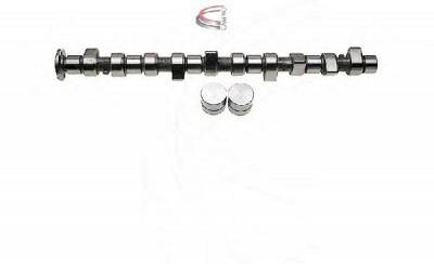 CAMPRO cp61919 - Комплект распредвала